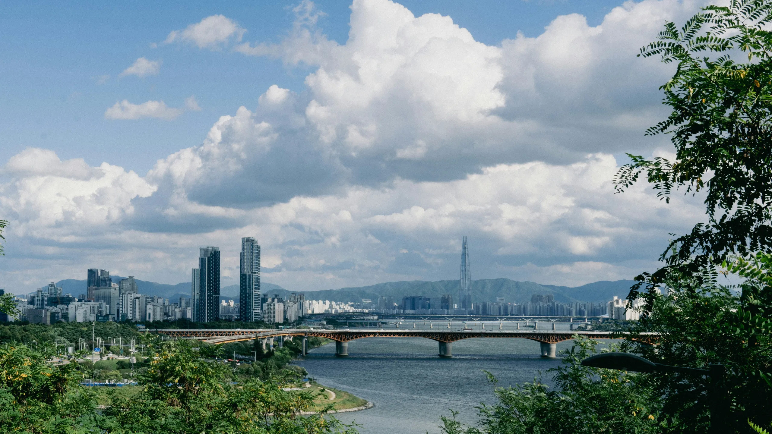 Seoul Earth Marathon