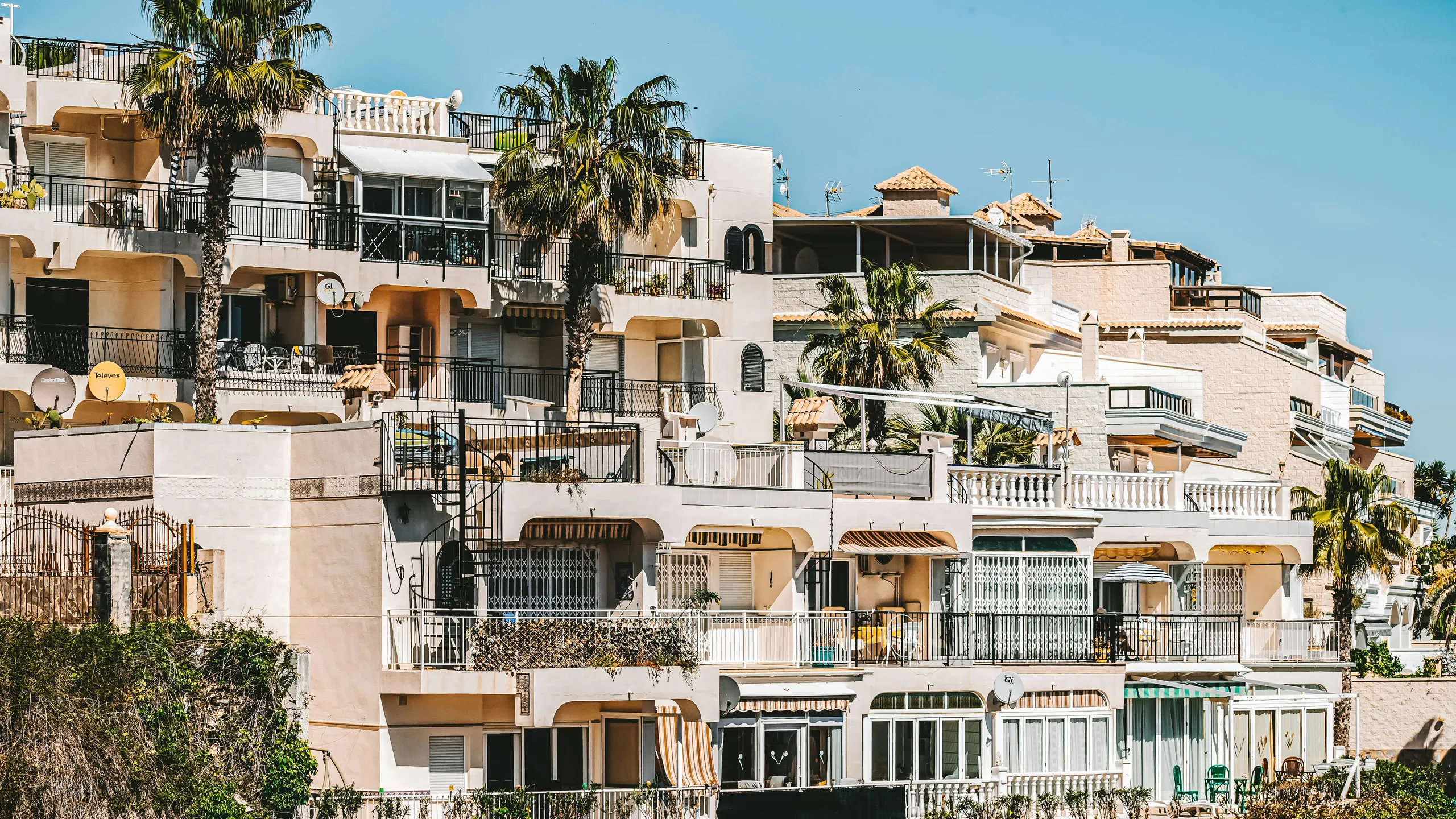 Medio Maratón Torrevieja