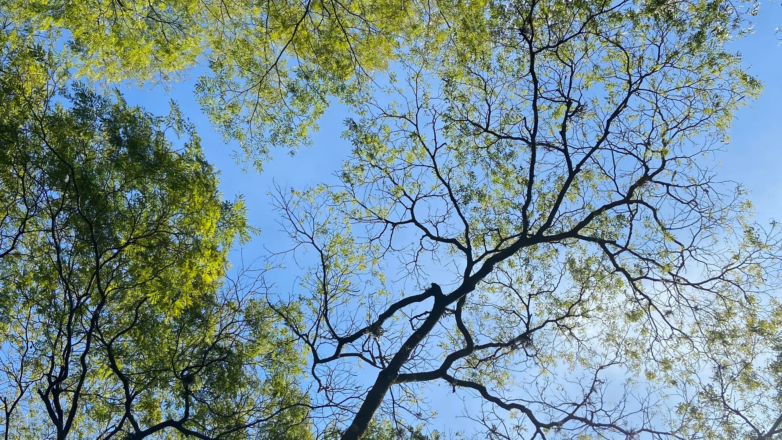 Maratona 150 Anos Americana