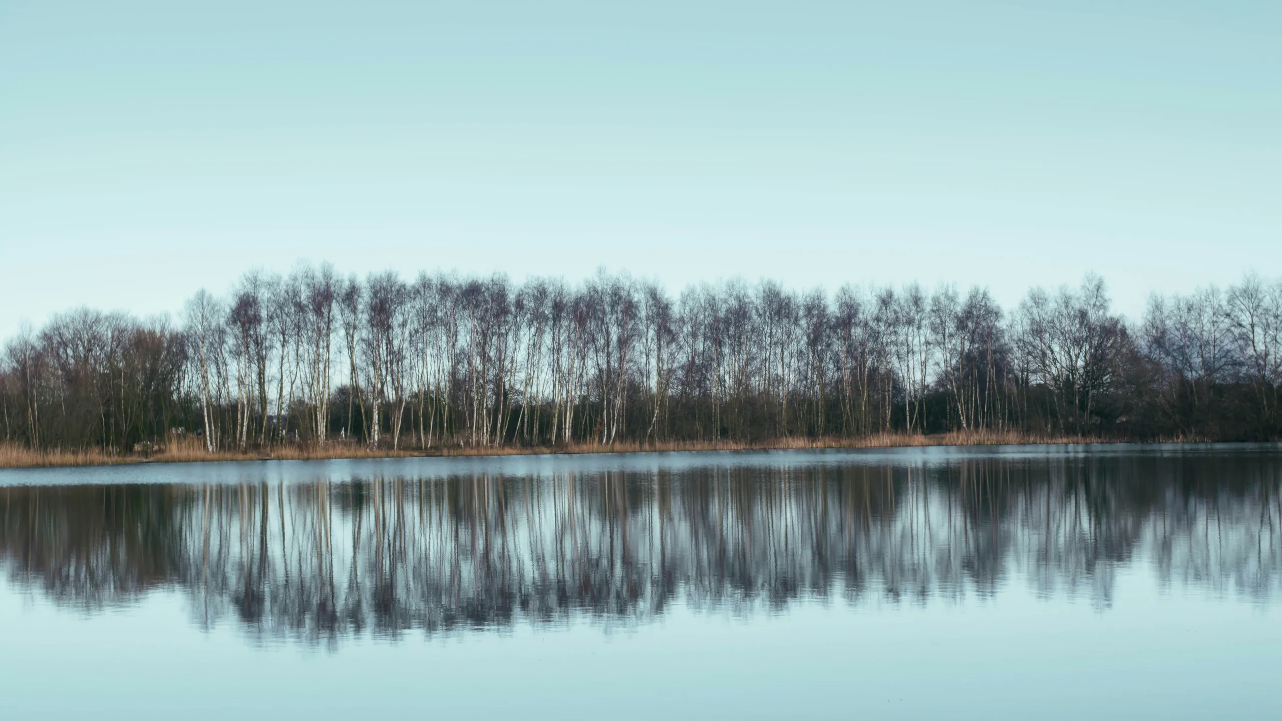 North Lincolnshire Half Marathon & 10k