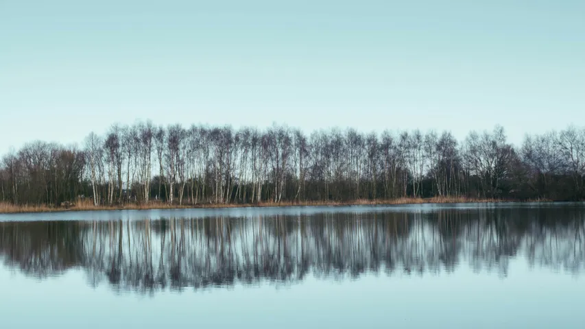 North Lincolnshire Half Marathon & 10k