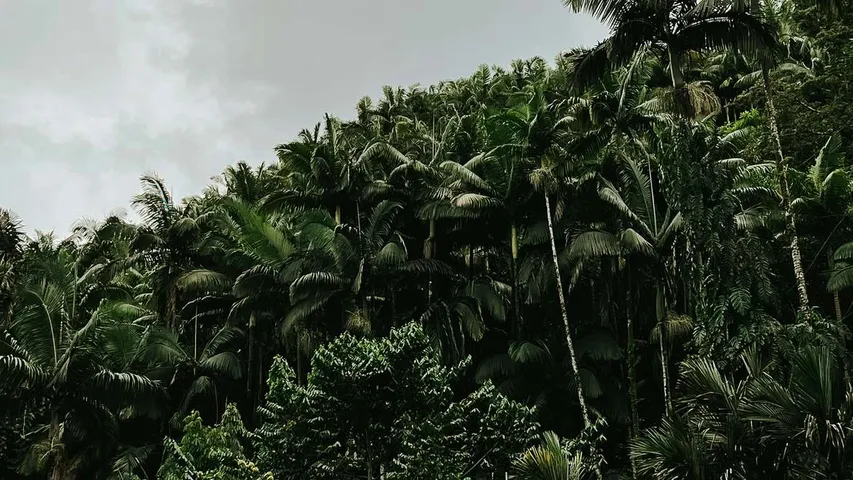 Big Island International Marathon