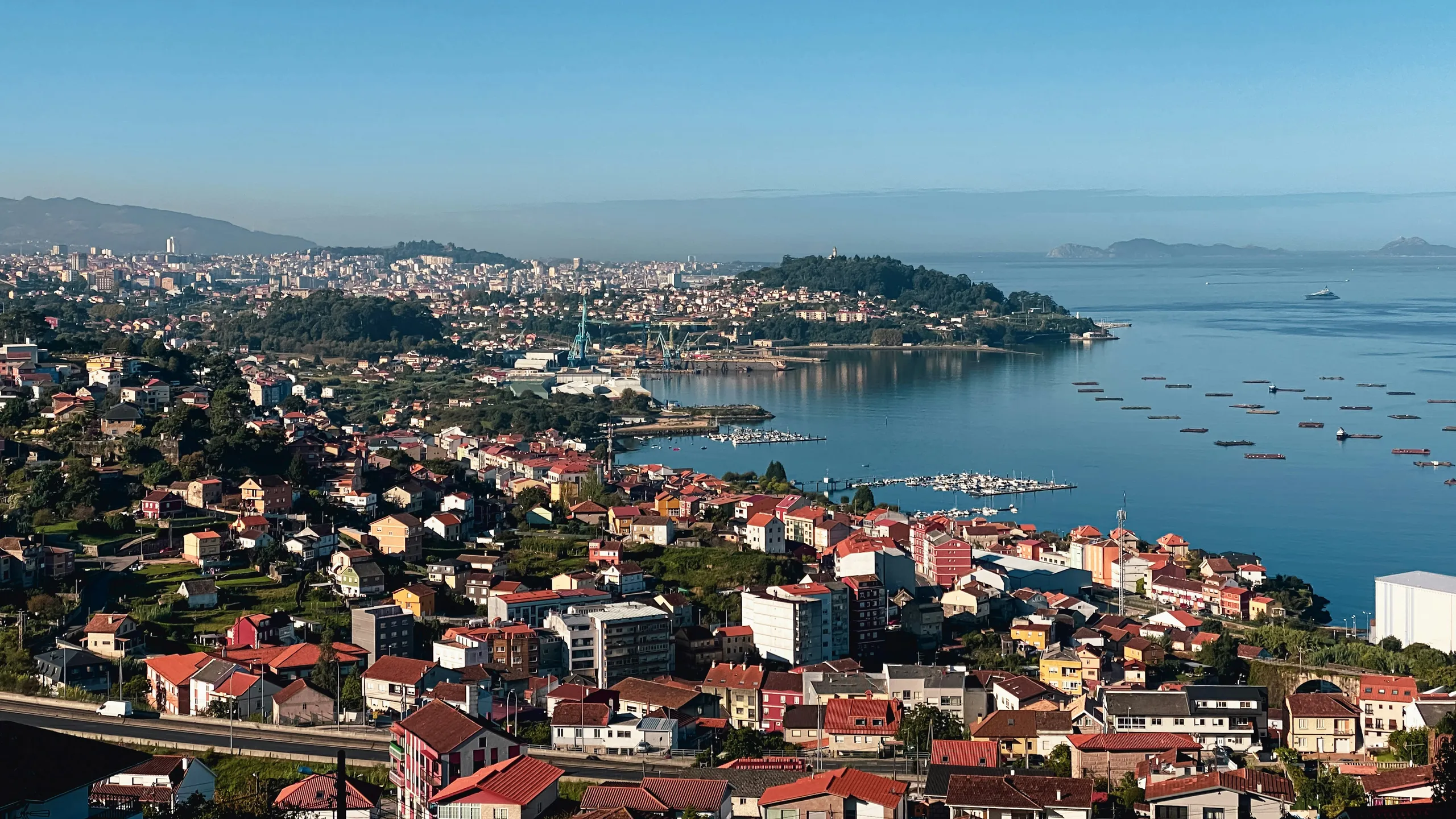 Safder Kartoğlu Yari Maratonu