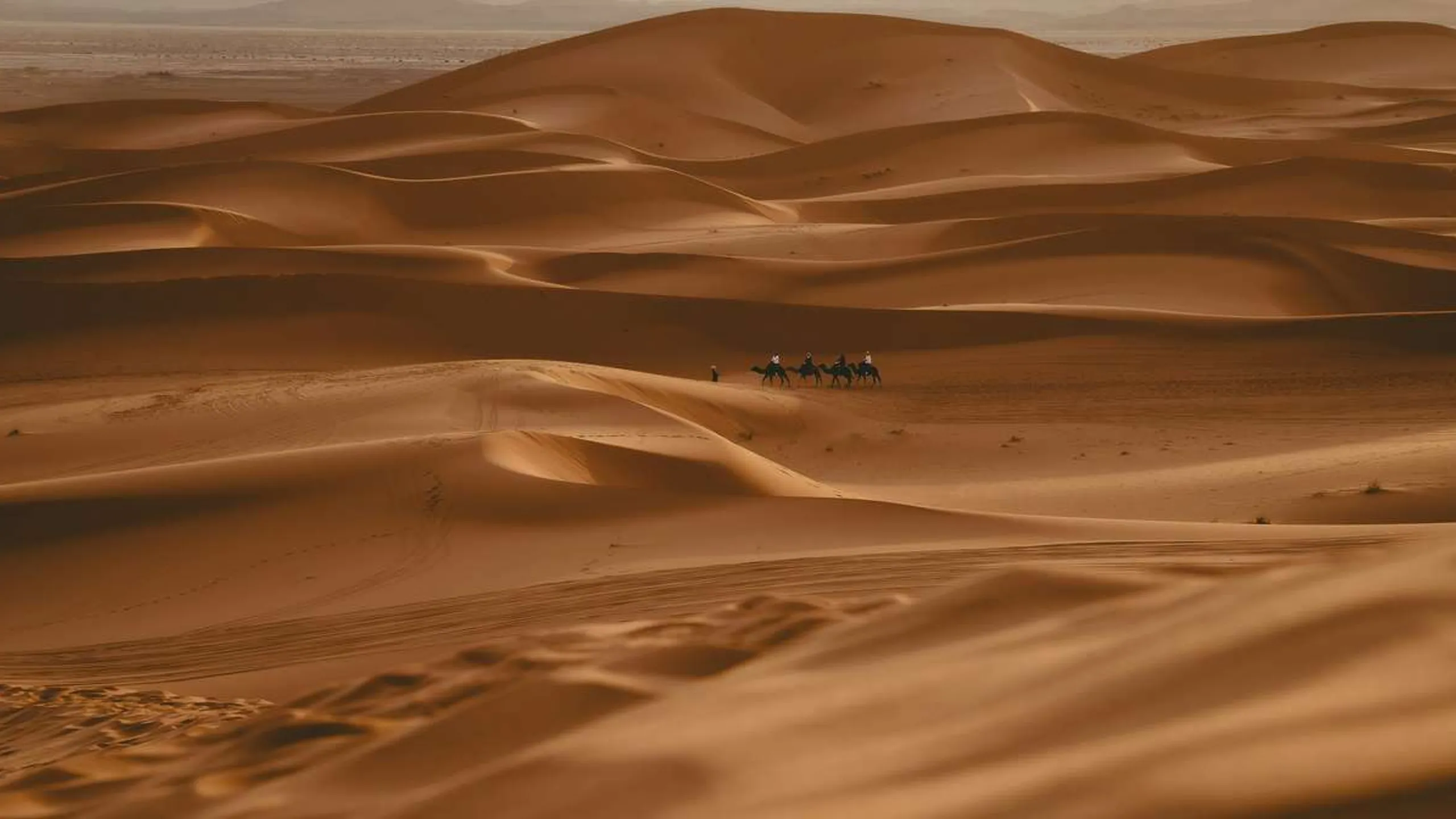 Sahara Marathon