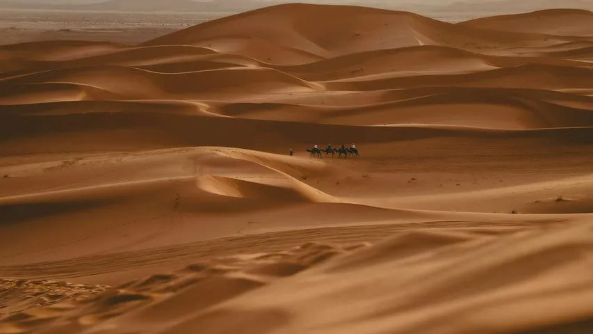 Sahara Marathon