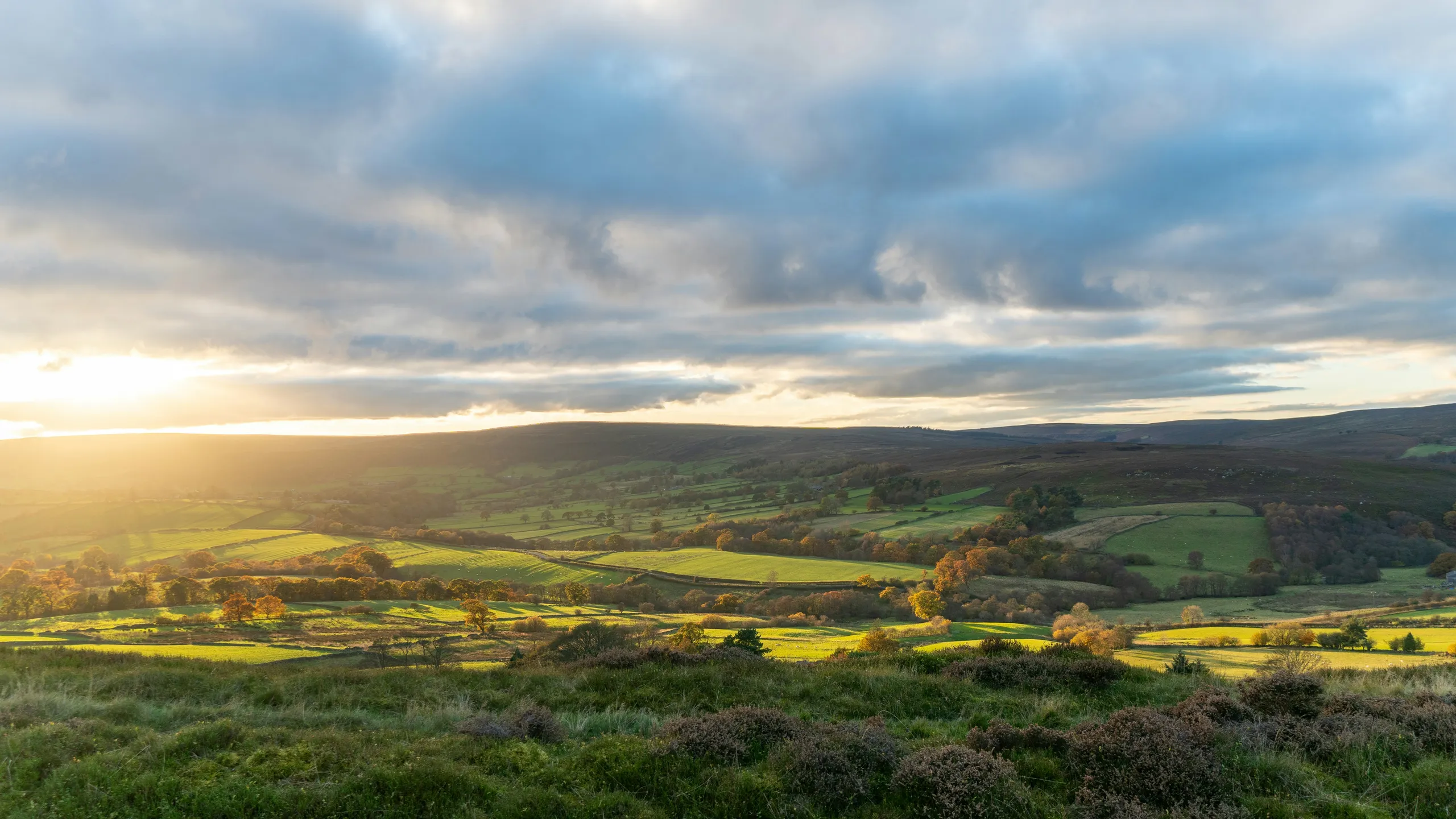 Yorkshire Trail Runs – Harewood House