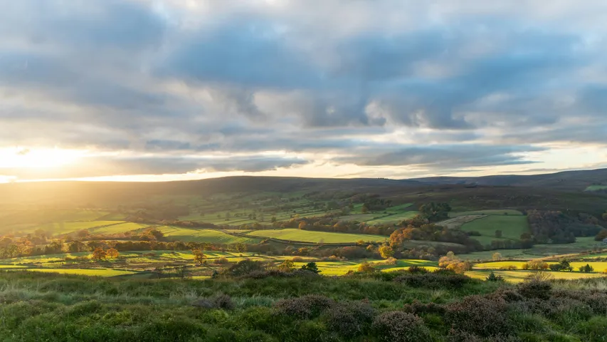 Yorkshire Trail Runs – Harewood House