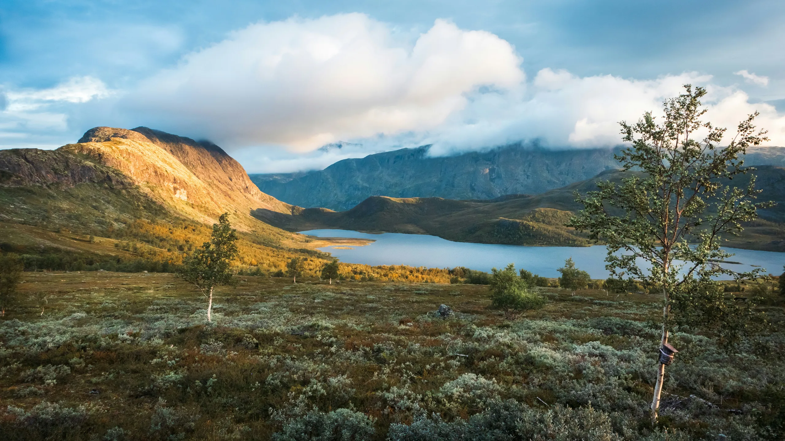 Jotunheimen Trail Run