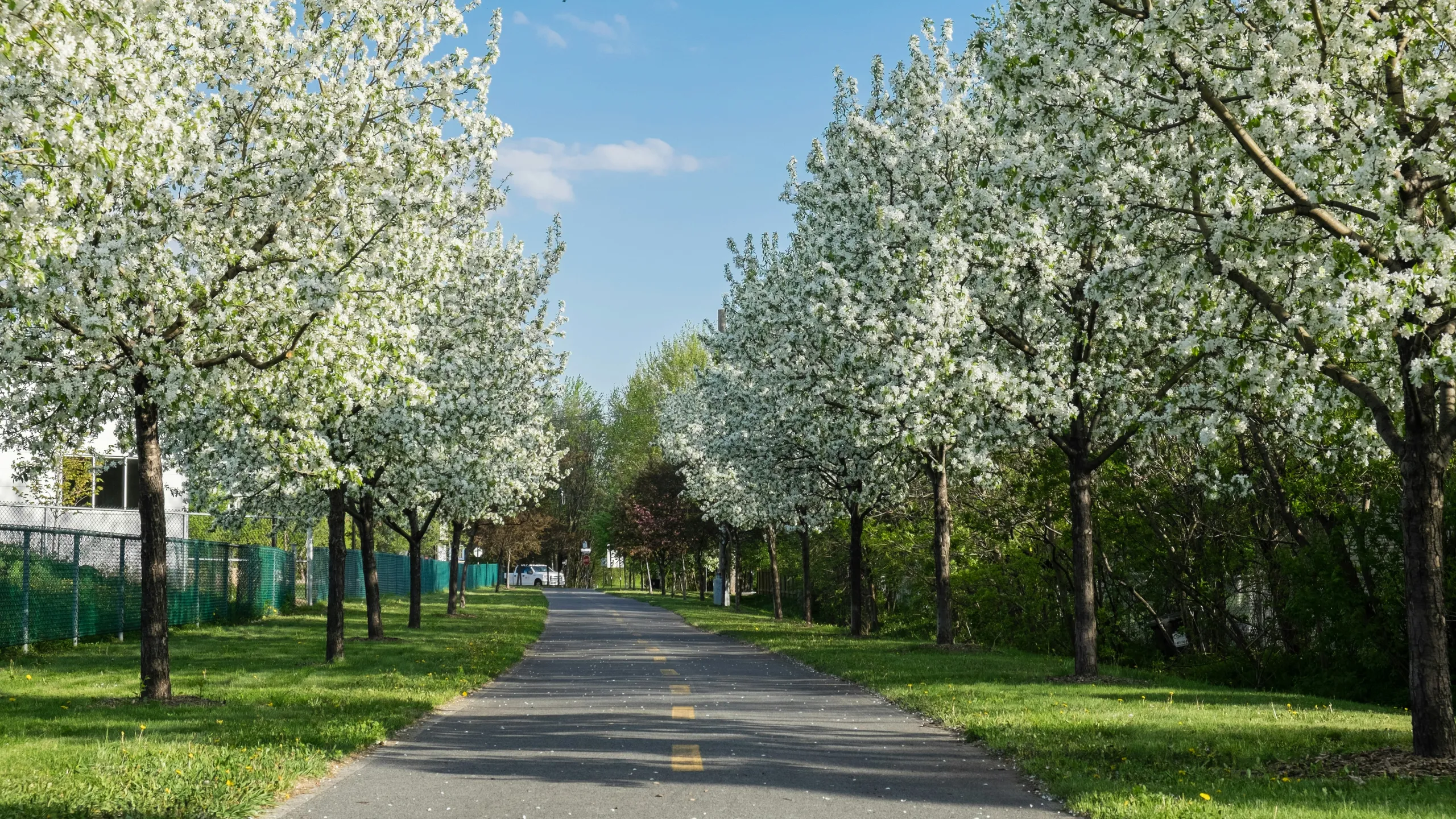 Marathon de Longueuil Sun Life
