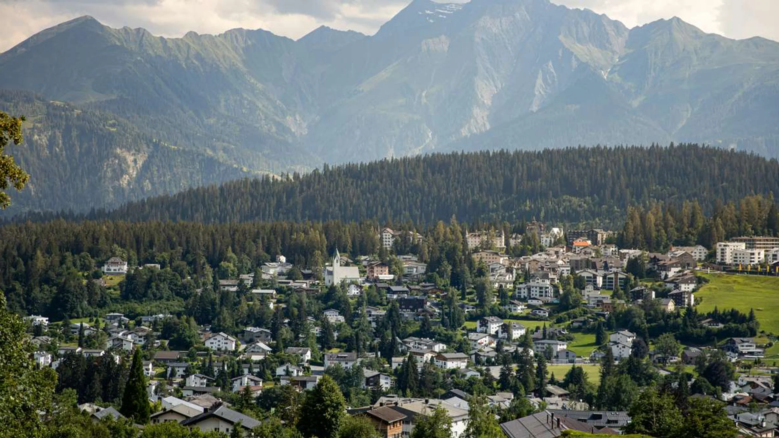 Rosalia Trail Challenge