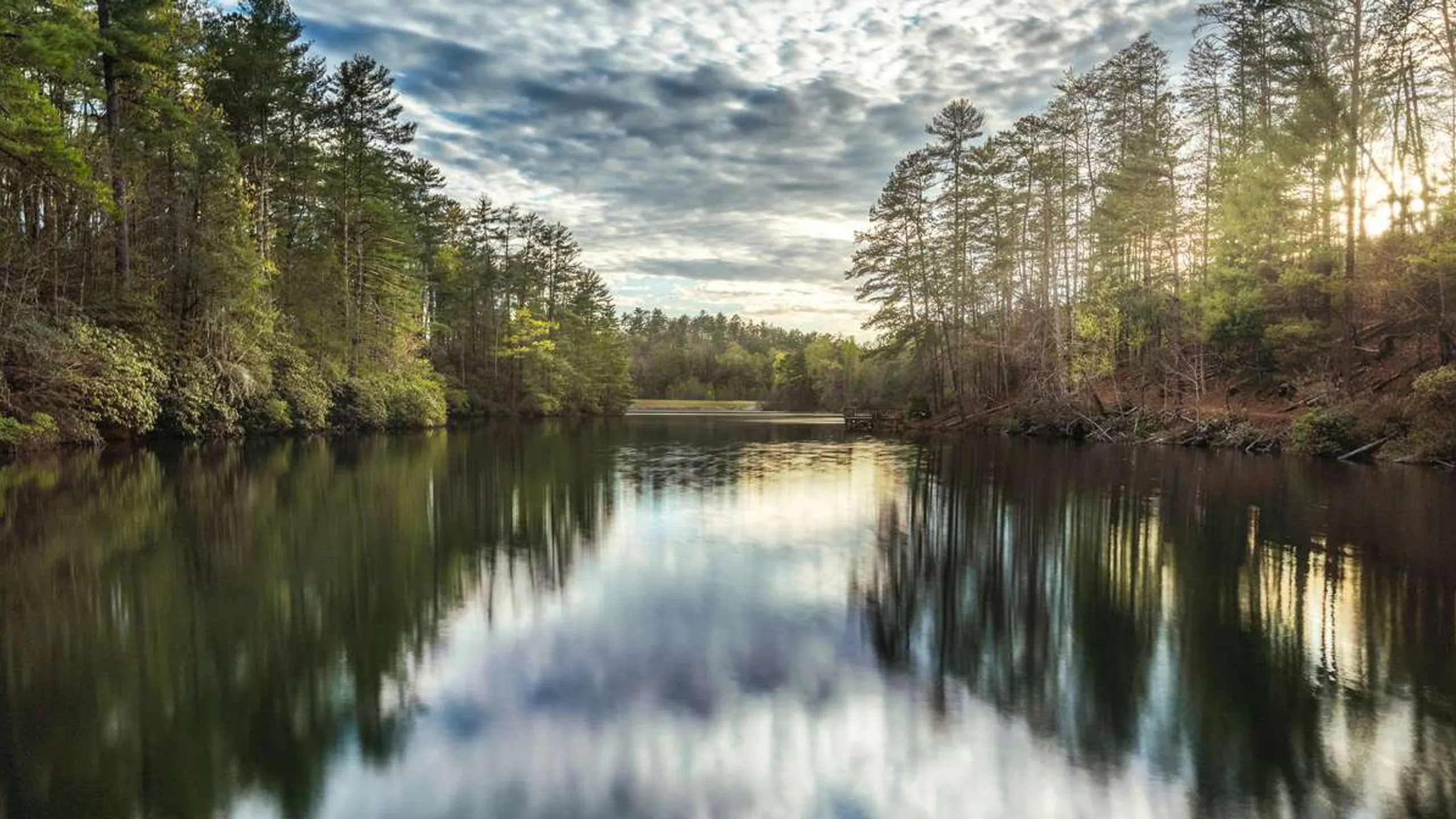 Virginia Trail Running Festival