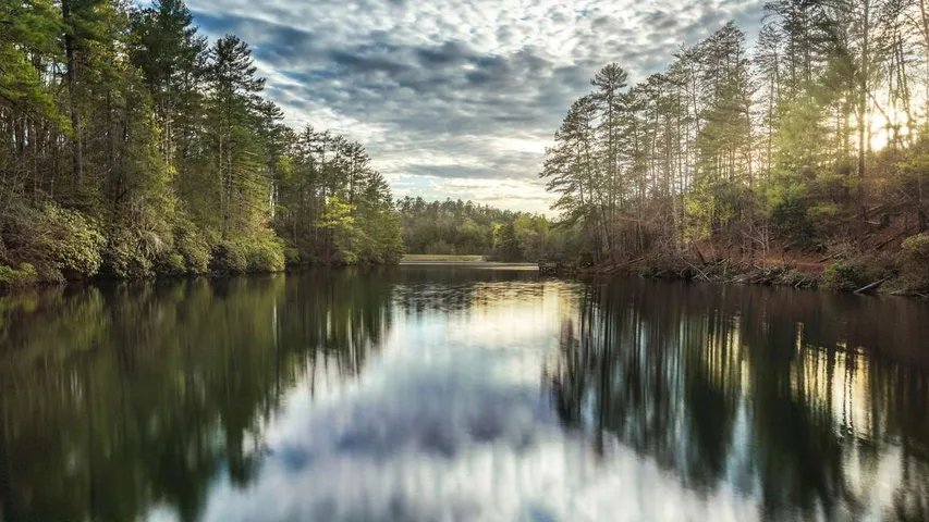 Virginia Trail Running Festival