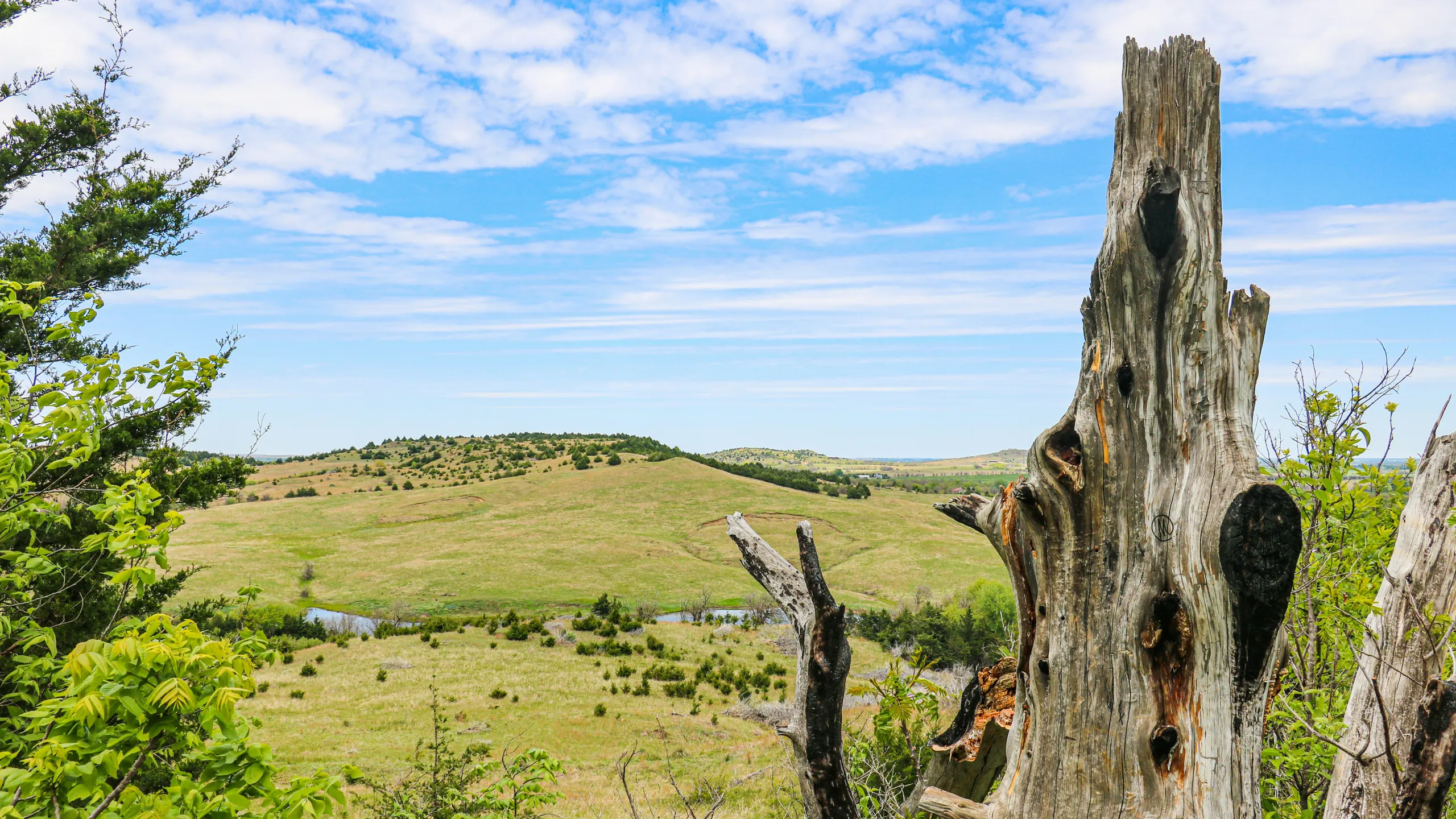 Coronado Heights Run