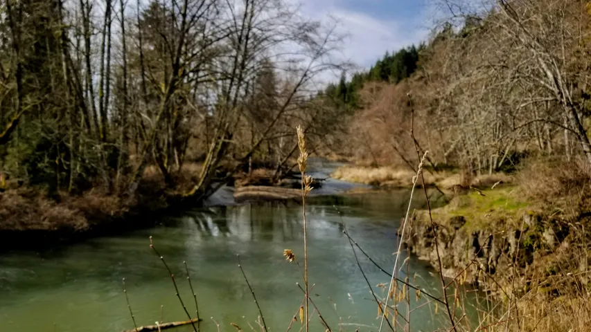 North Fork 50