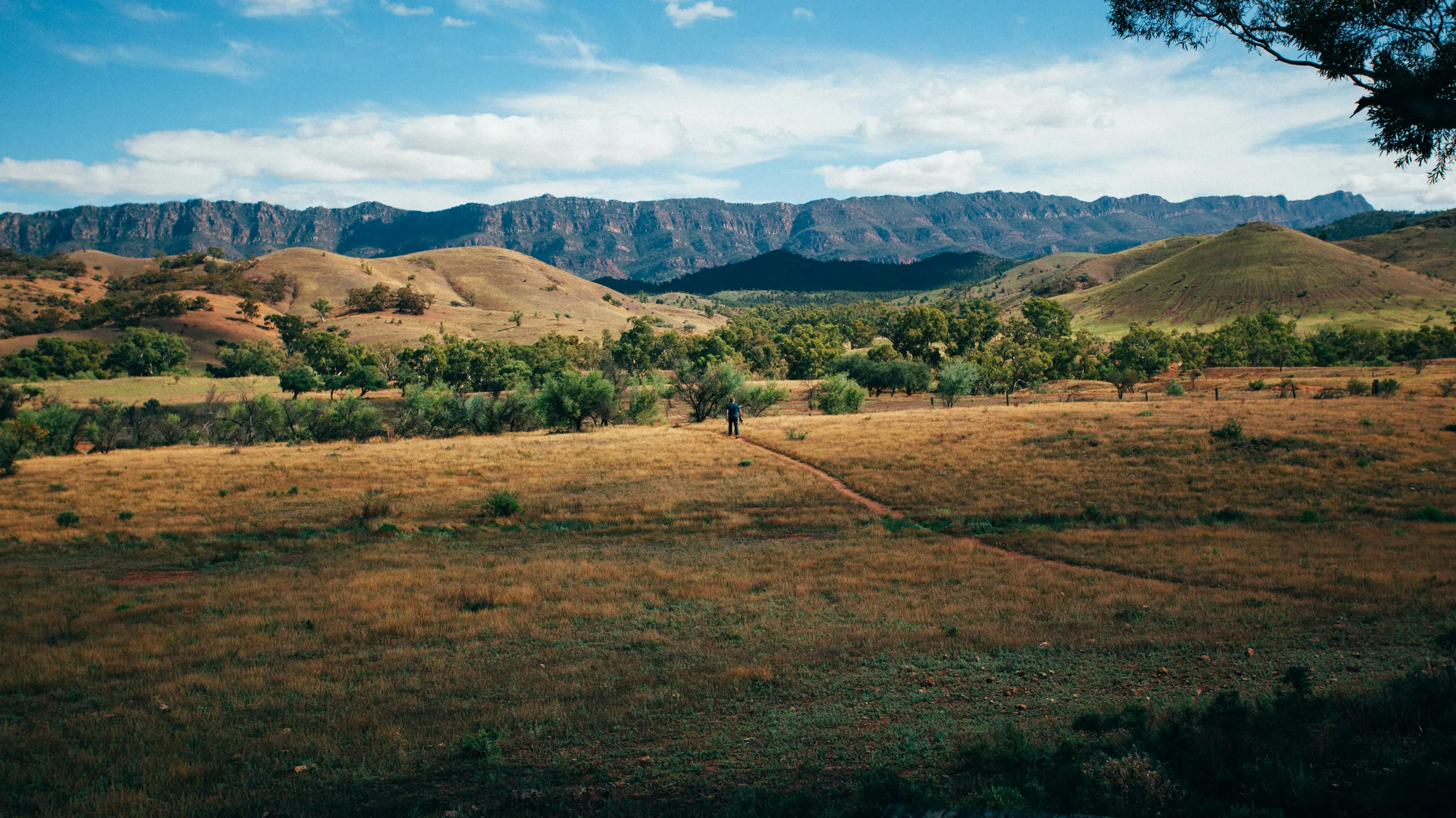 Clare Valley Running Festival