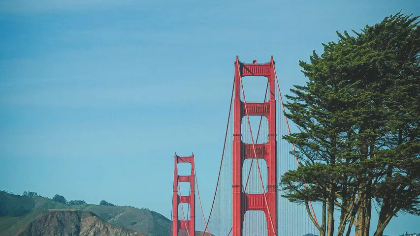 Bay Bridge Half Marathon