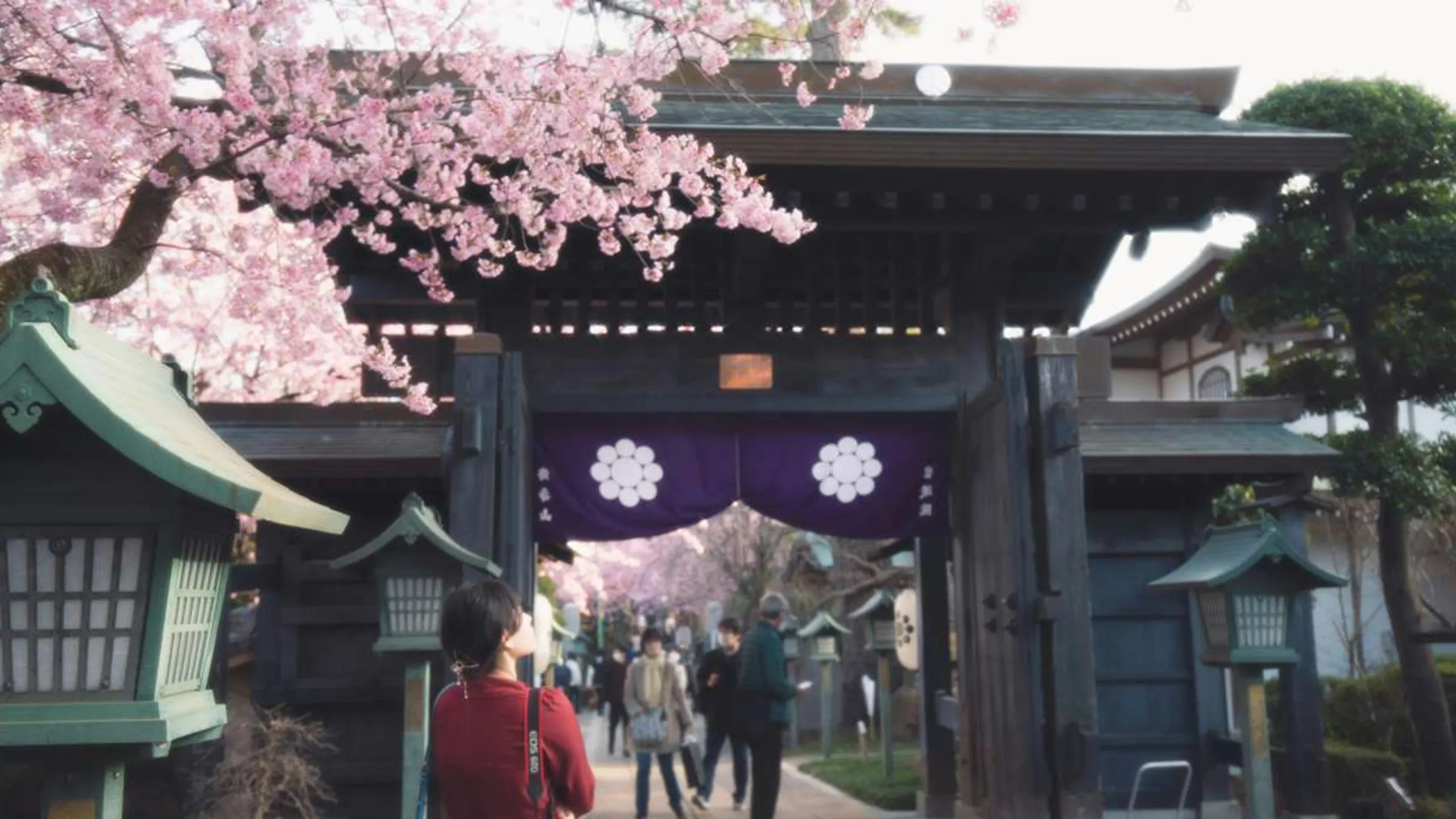 Saitama Marathon Festival