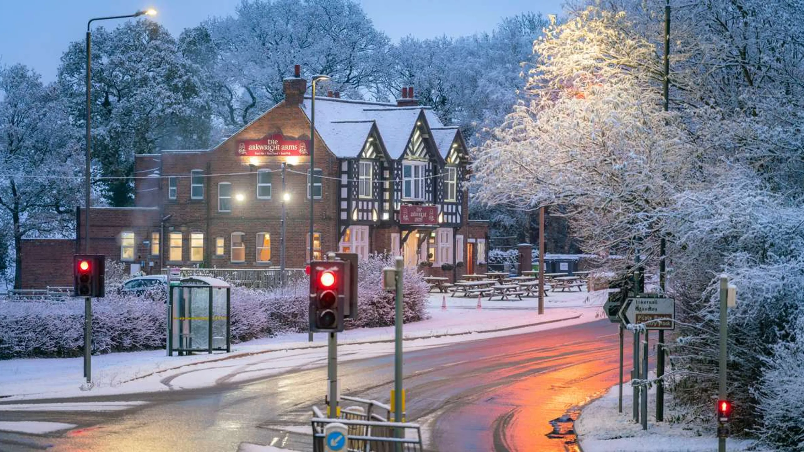 Pink Moon - Ladies Trail Half Marathon