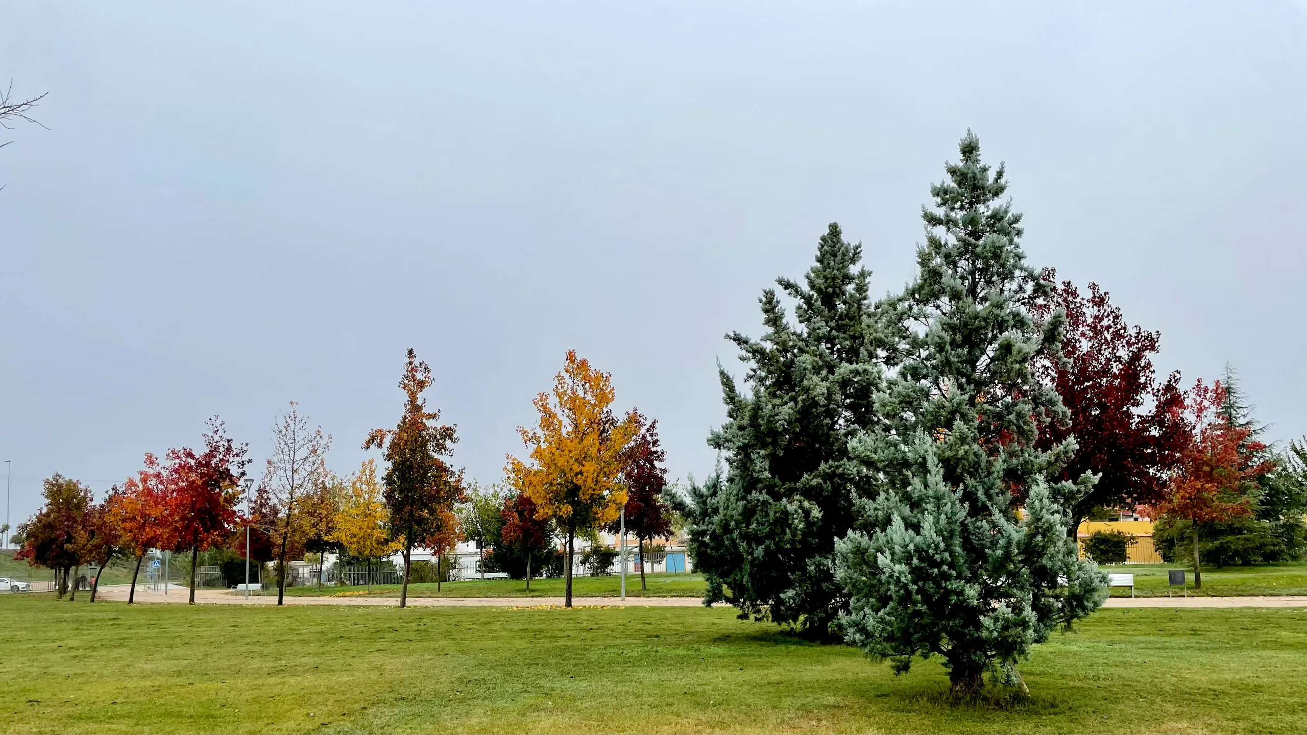 Medio Maratón Elvas‑Badajoz