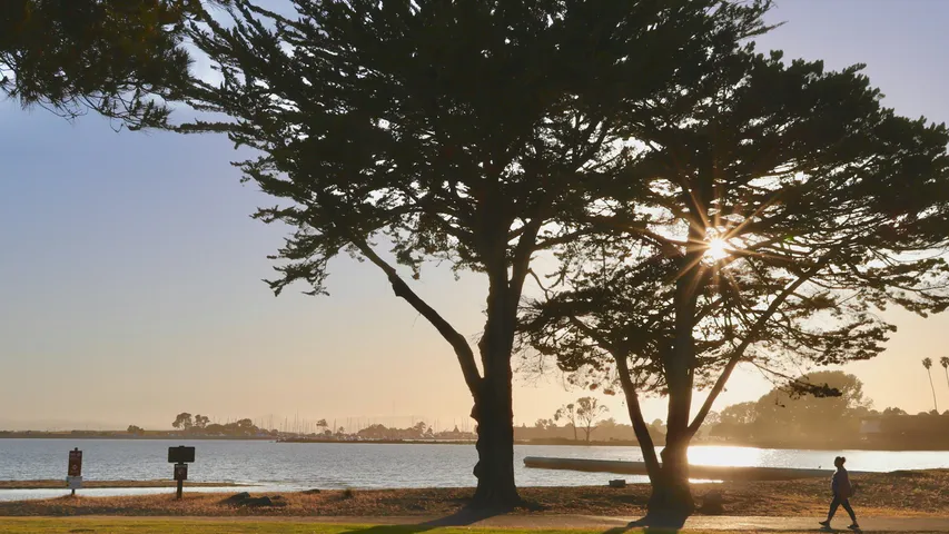 Bank of Marin Island Running Festival