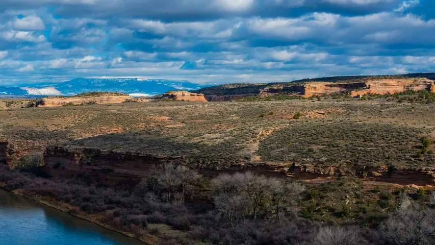 Desert Rats Trail Running Festival