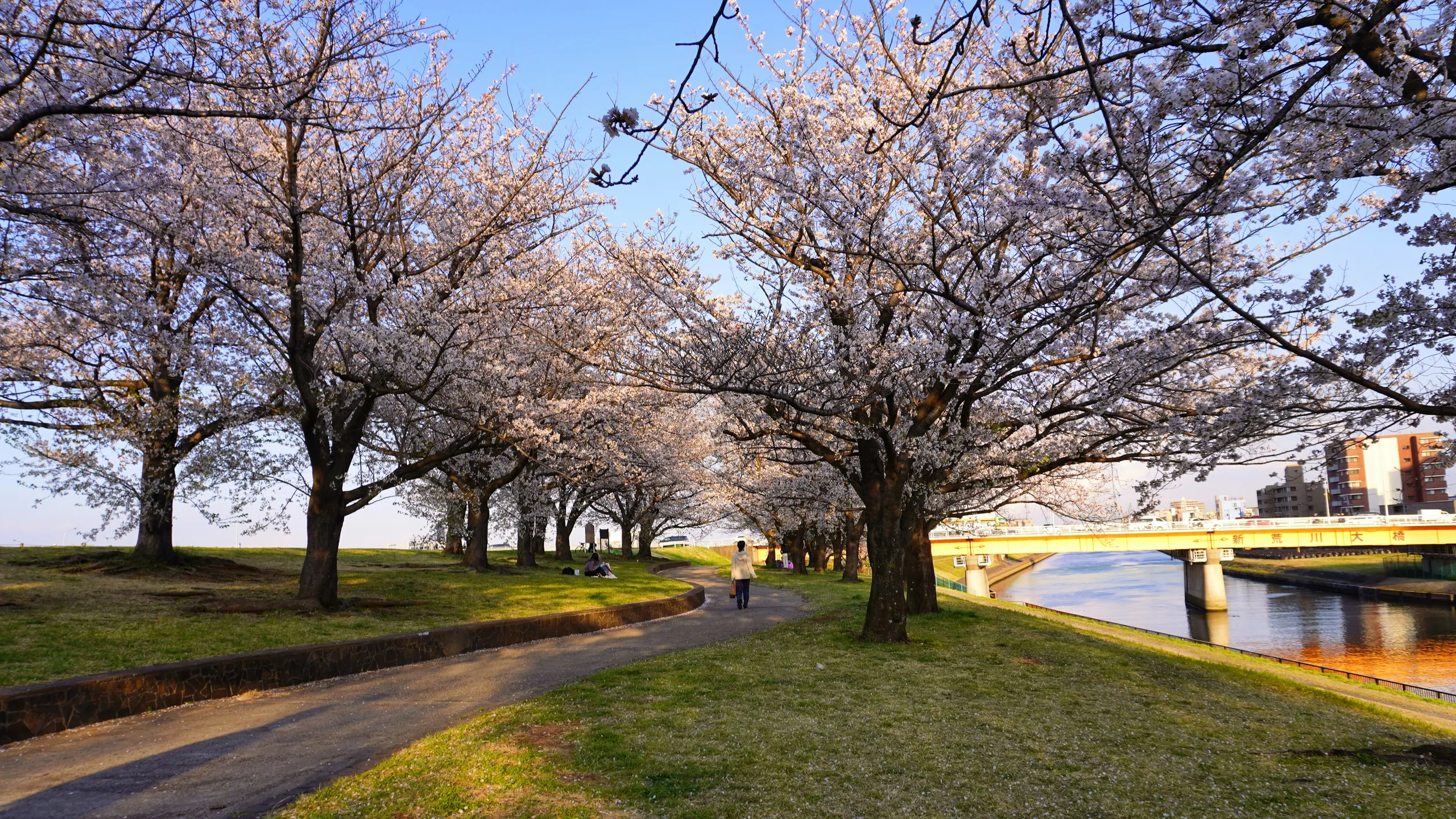 Tokyo New Year Half Marathon