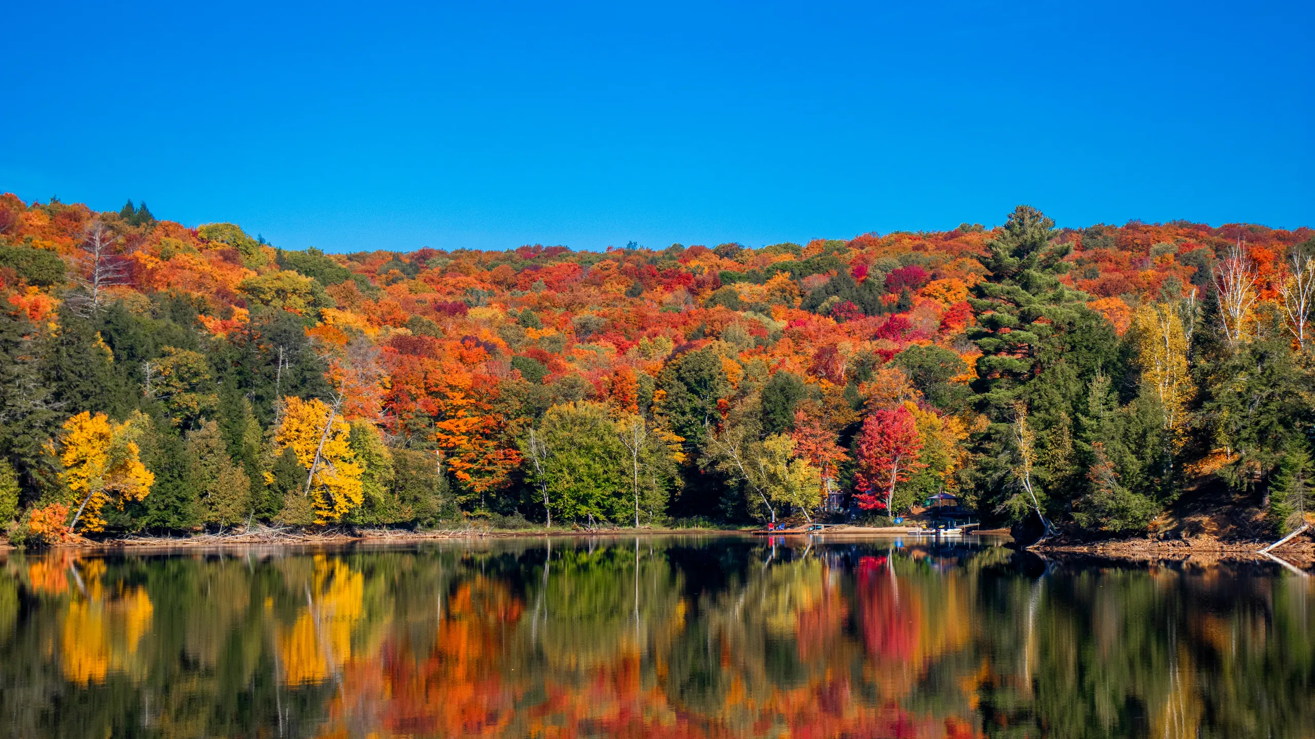 Haliburton Forest Trail Race