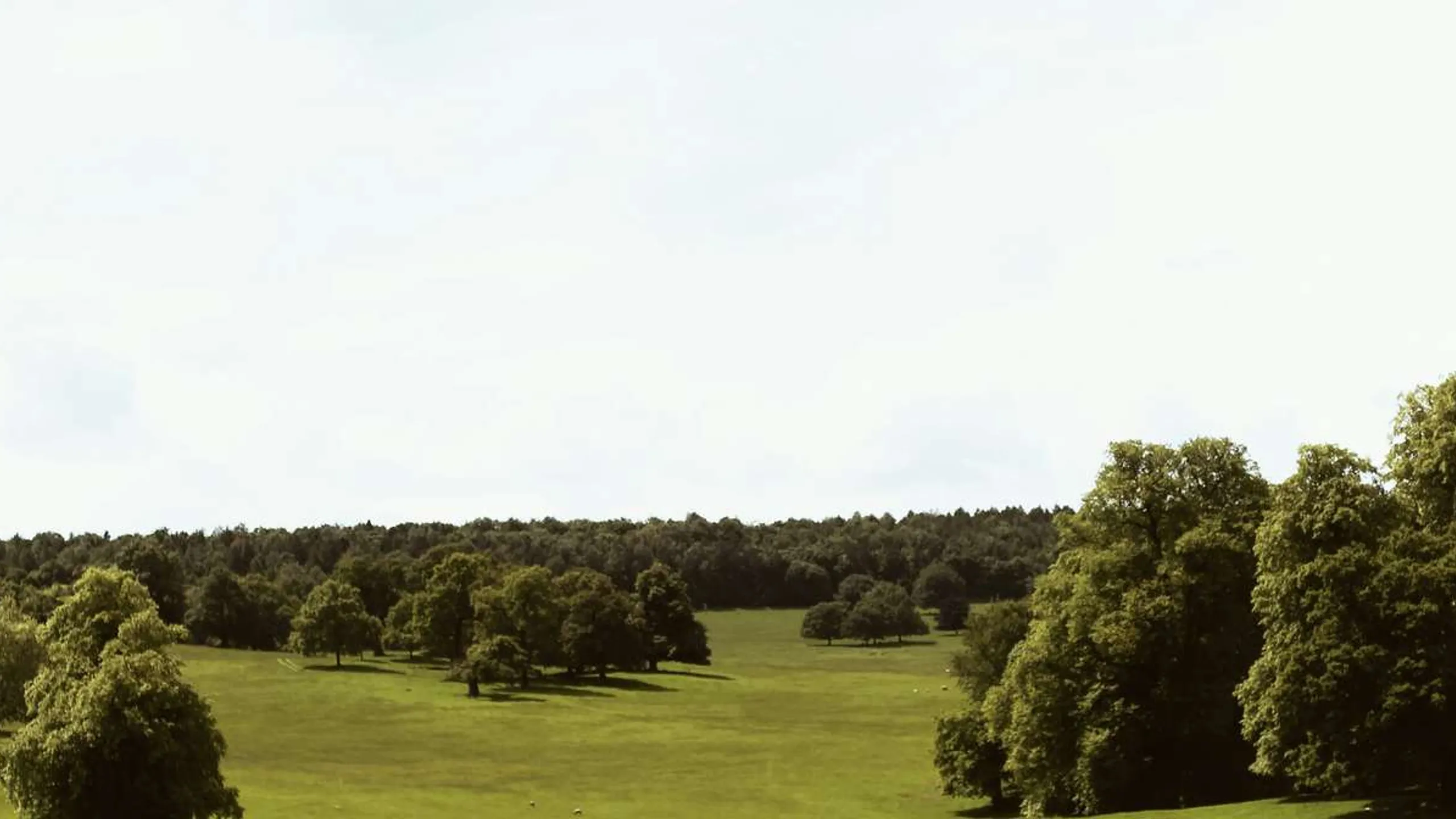 Monsal Trail April Half Marathon & 10k