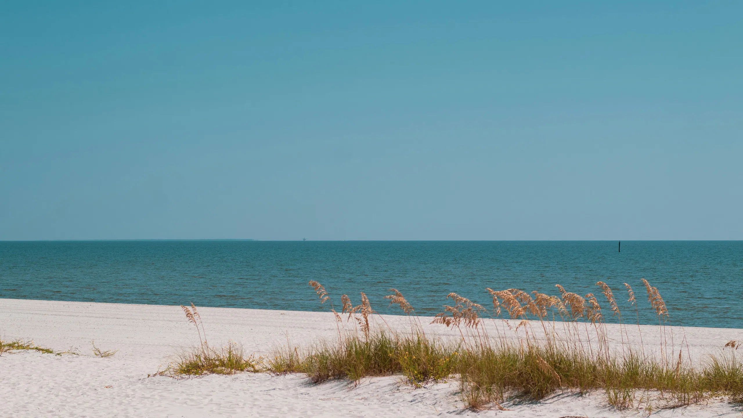 Mississippi Gulf Coast Marathon