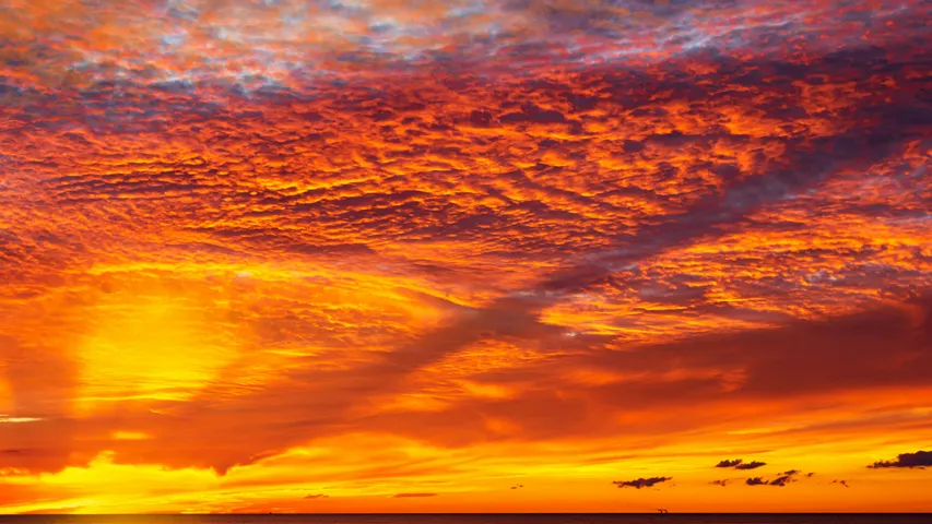 FORE! Miler presented by The Ohio State Wexner Medical Center and The James