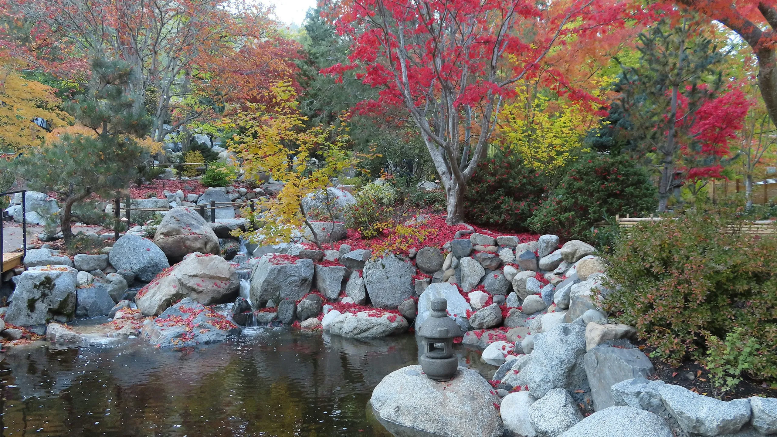 Lithia Loop Trail Marathon
