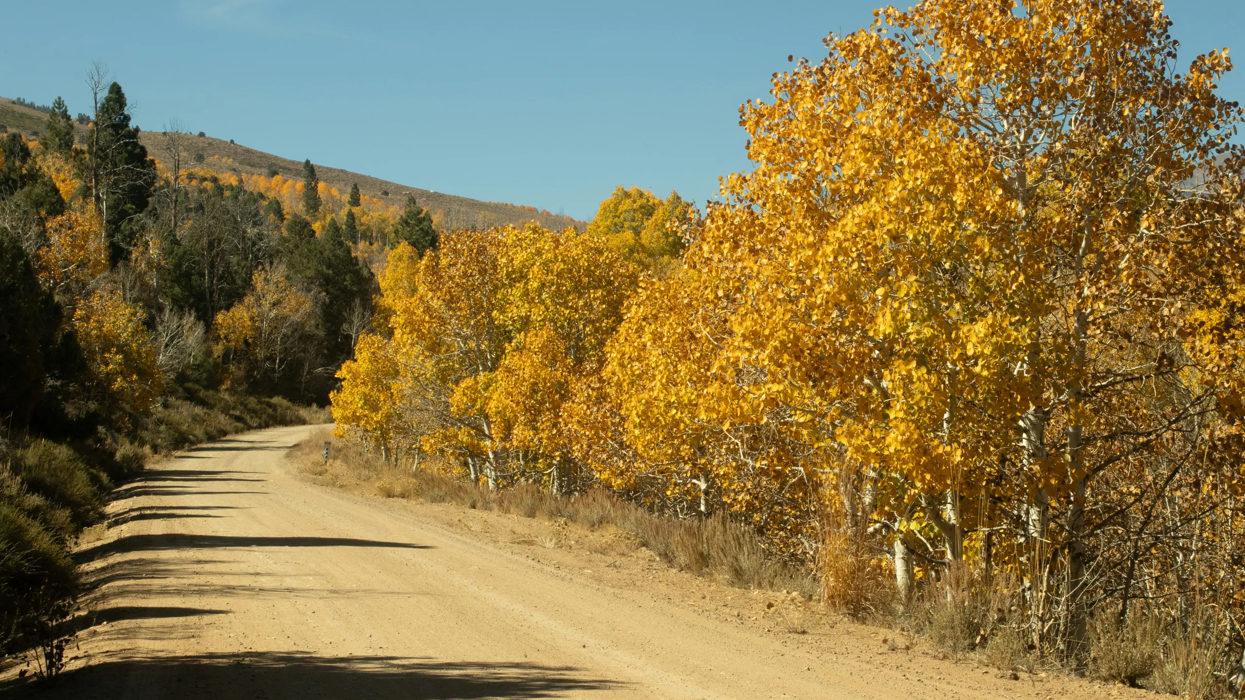 Barra of Mendocino Harvest Wine Run