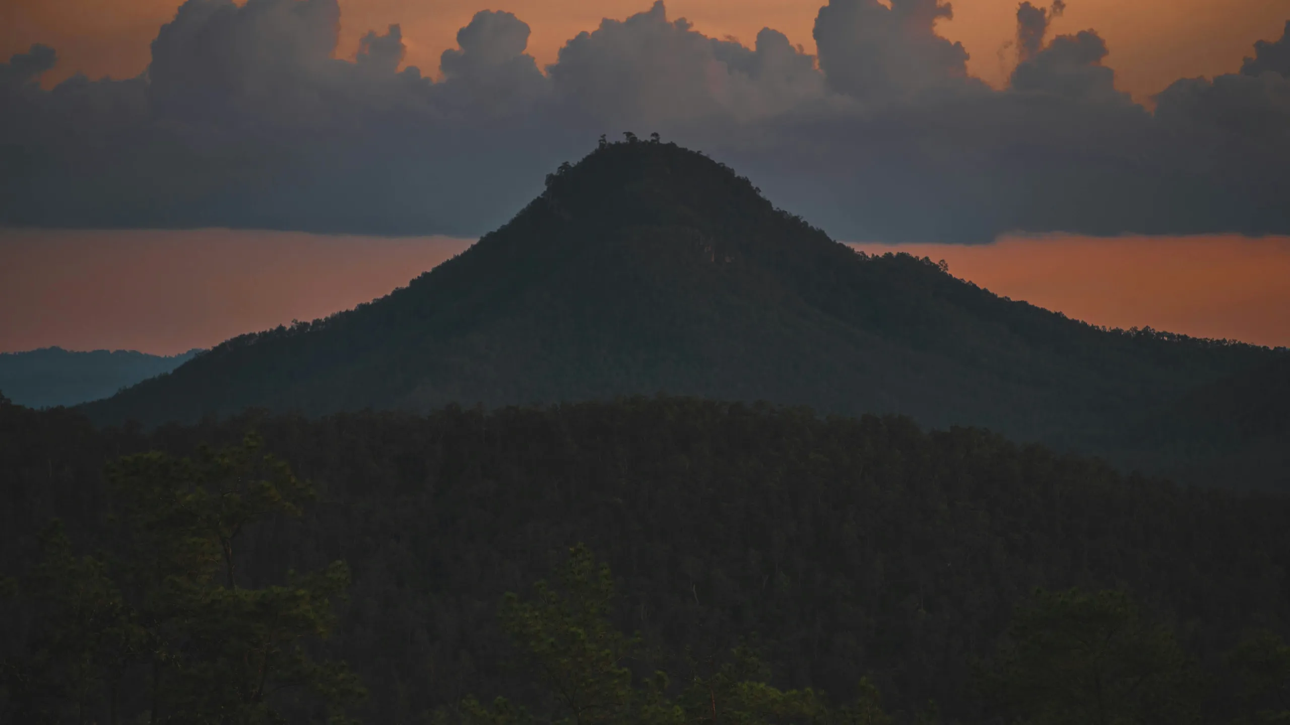 REVEL Mt. Charleston Marathon & Half Marathon