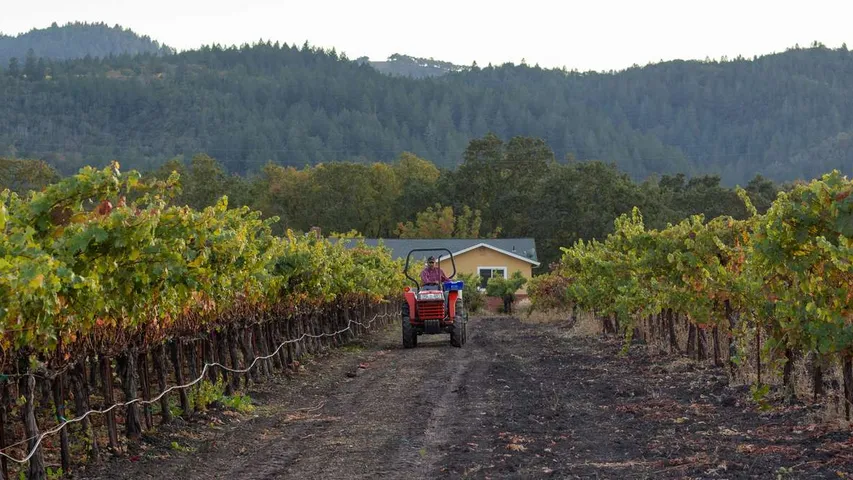 Napa Valley Endurance Run