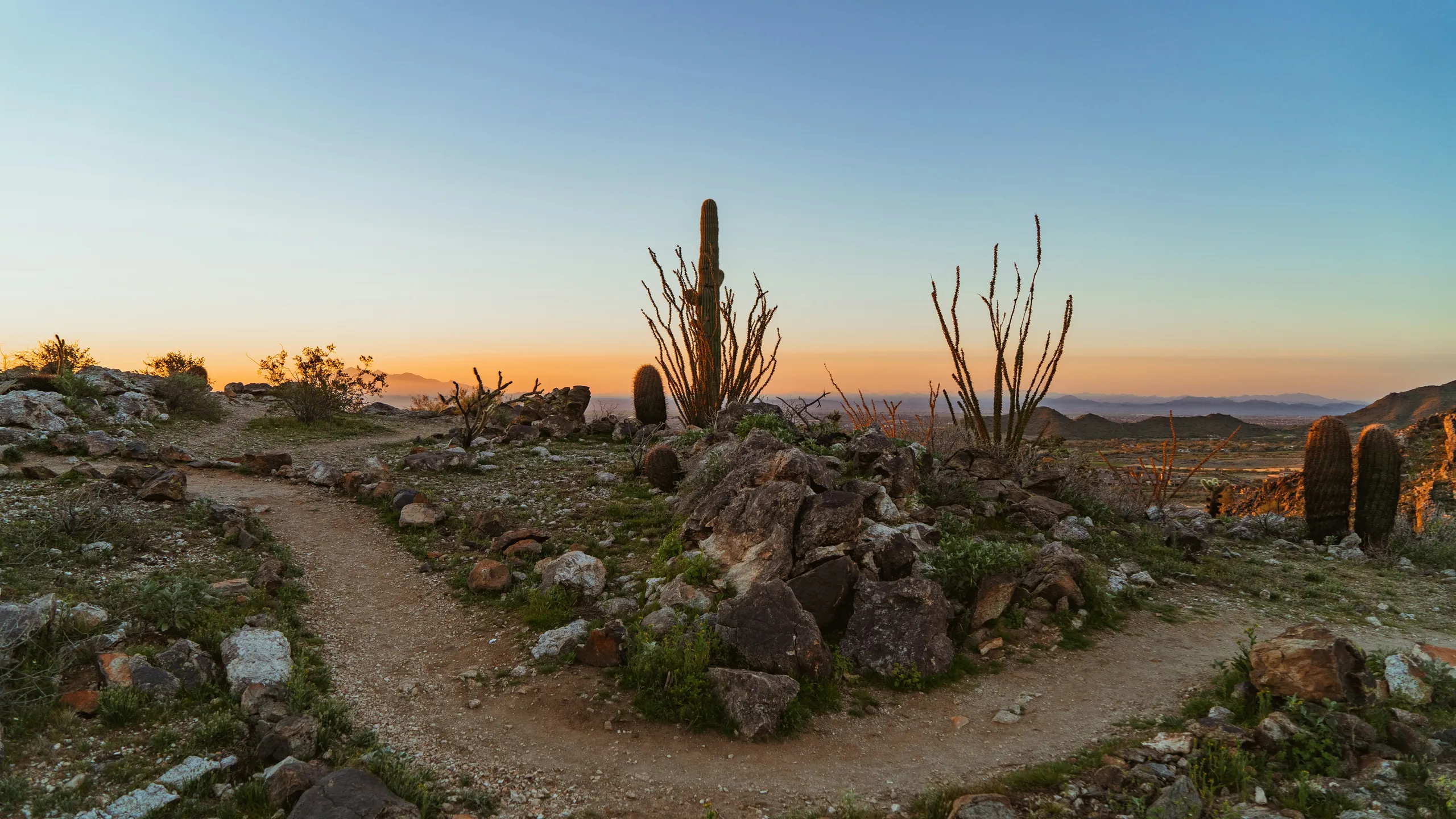 Buckeye Marathon, Half Marathon, 10K, 5K and 1 Mile Fun Run