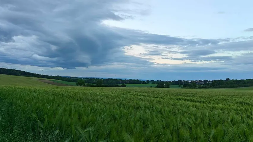 Ibbenbürener Klippenlauf