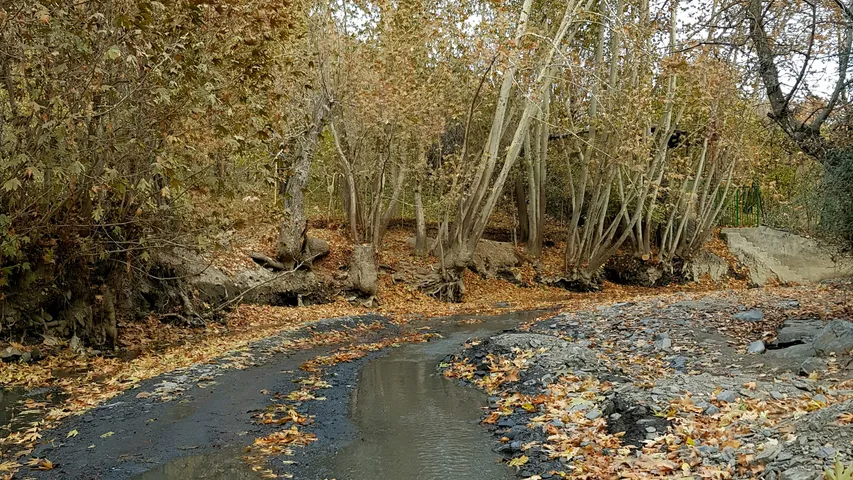 Sadlers Creek Stumble