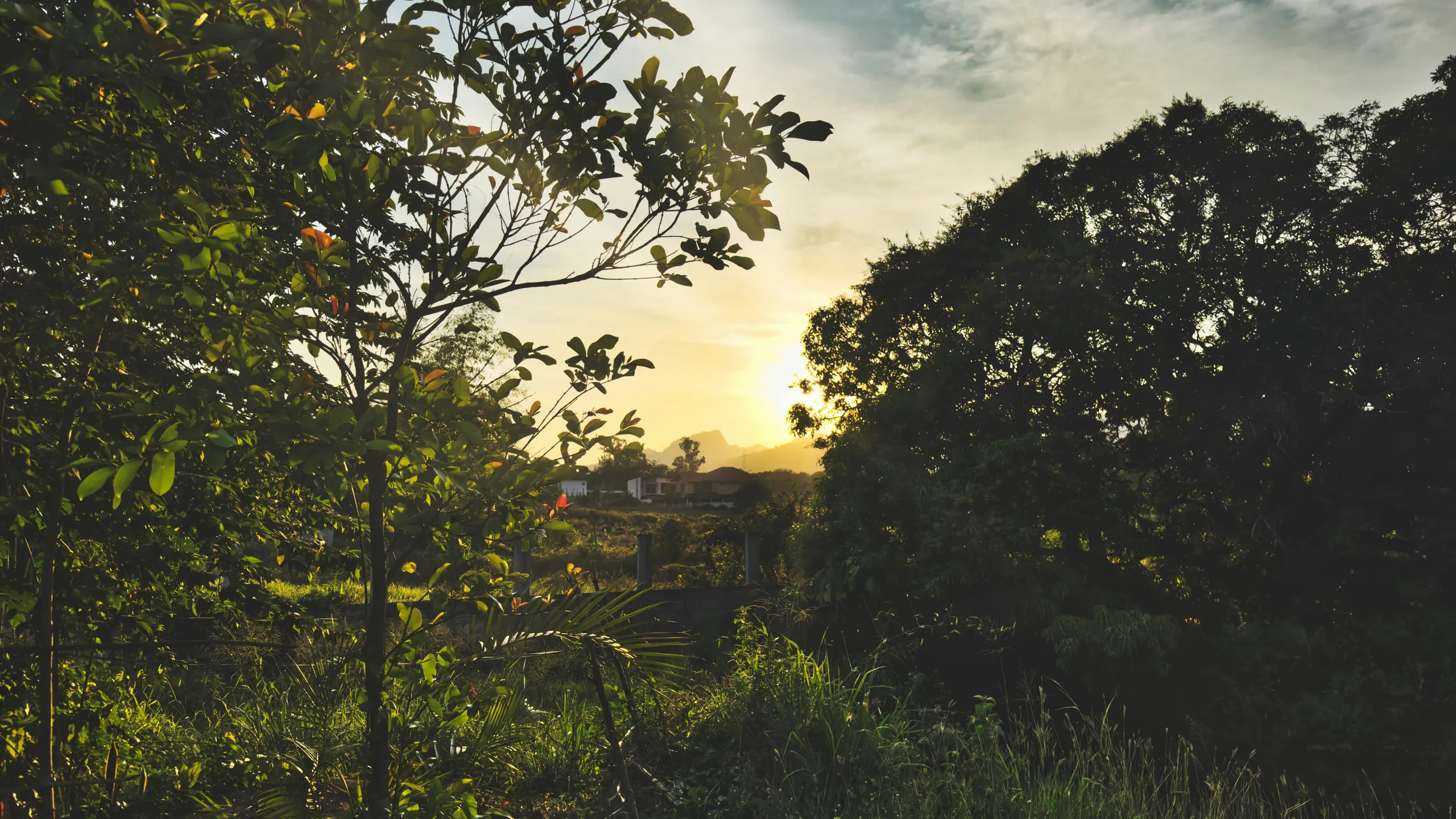 Bataan Half Marathon