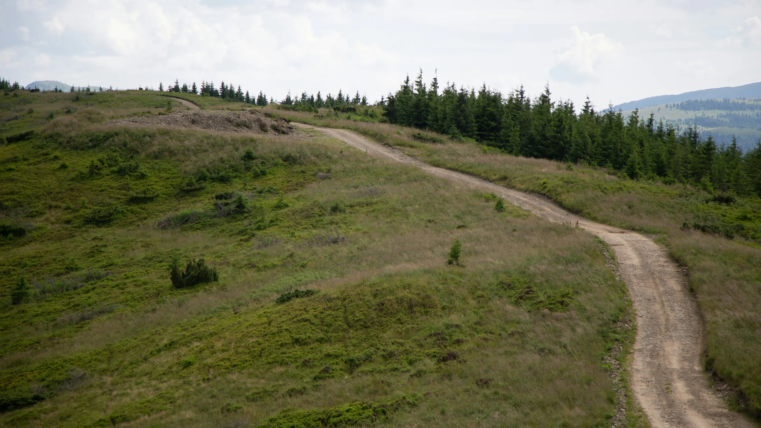 New Hope Wesleyan Ultra Trail Run