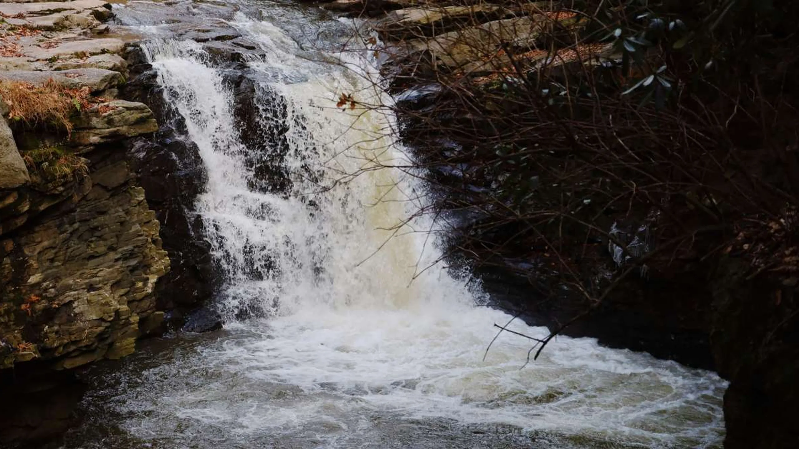Scranton Half Marathon