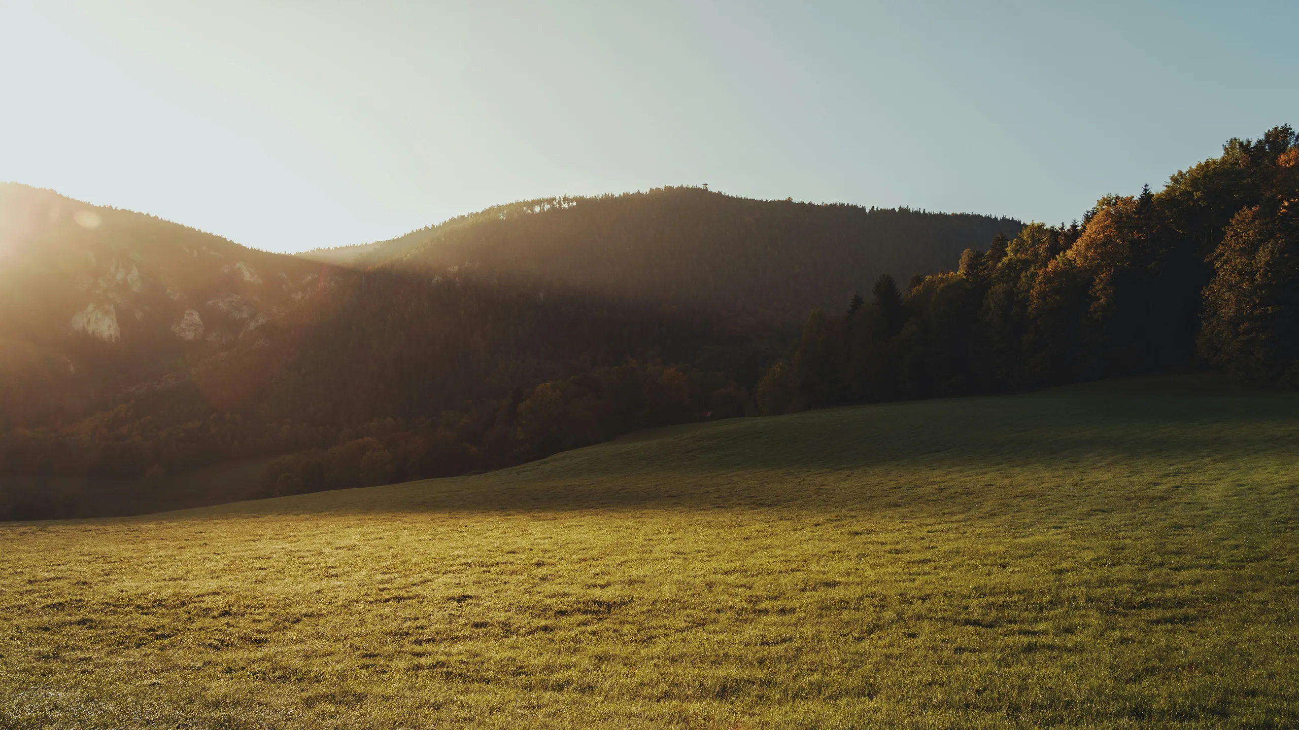 Baumit Piestingtallauf