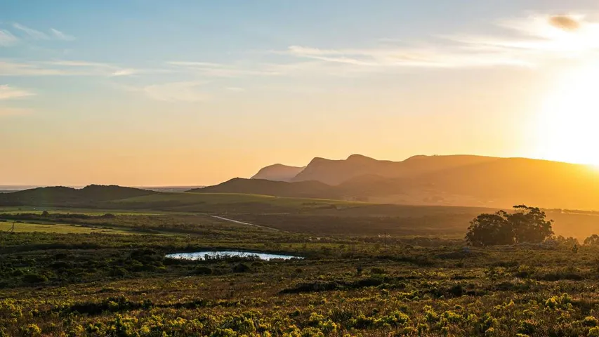 Amerongse Berg Trail July