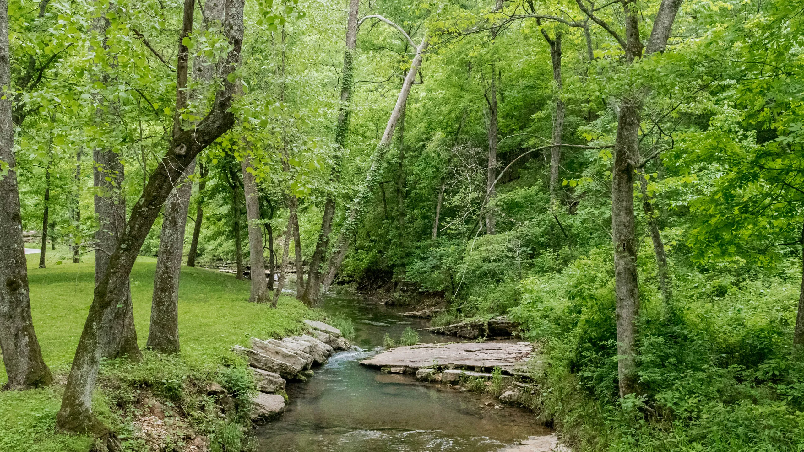 Bass Pro Shops Fitness Series Dogwood Canyon Trail Runs