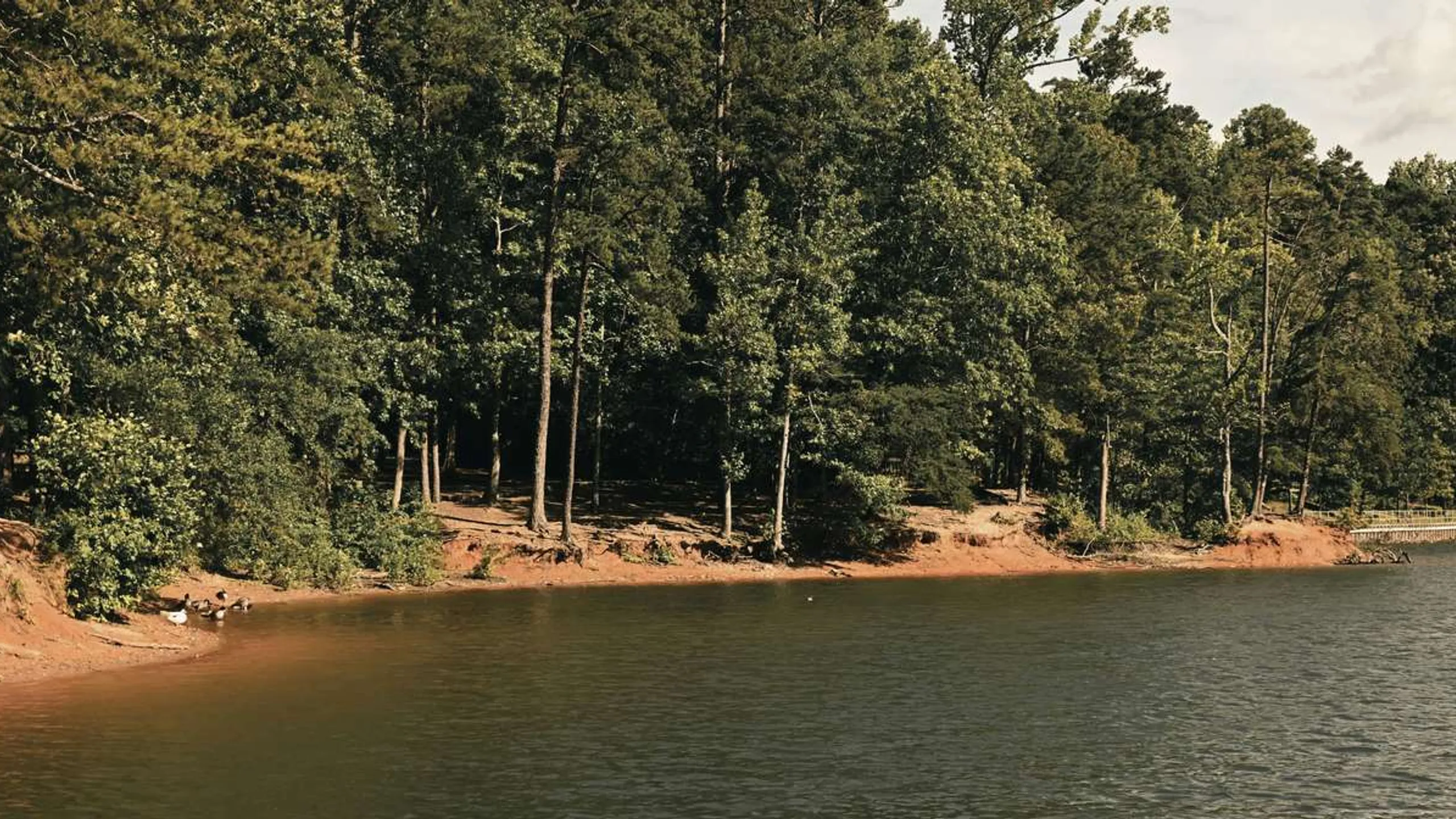 Berry Half / 10K / 5K presented by Business Water Solutions