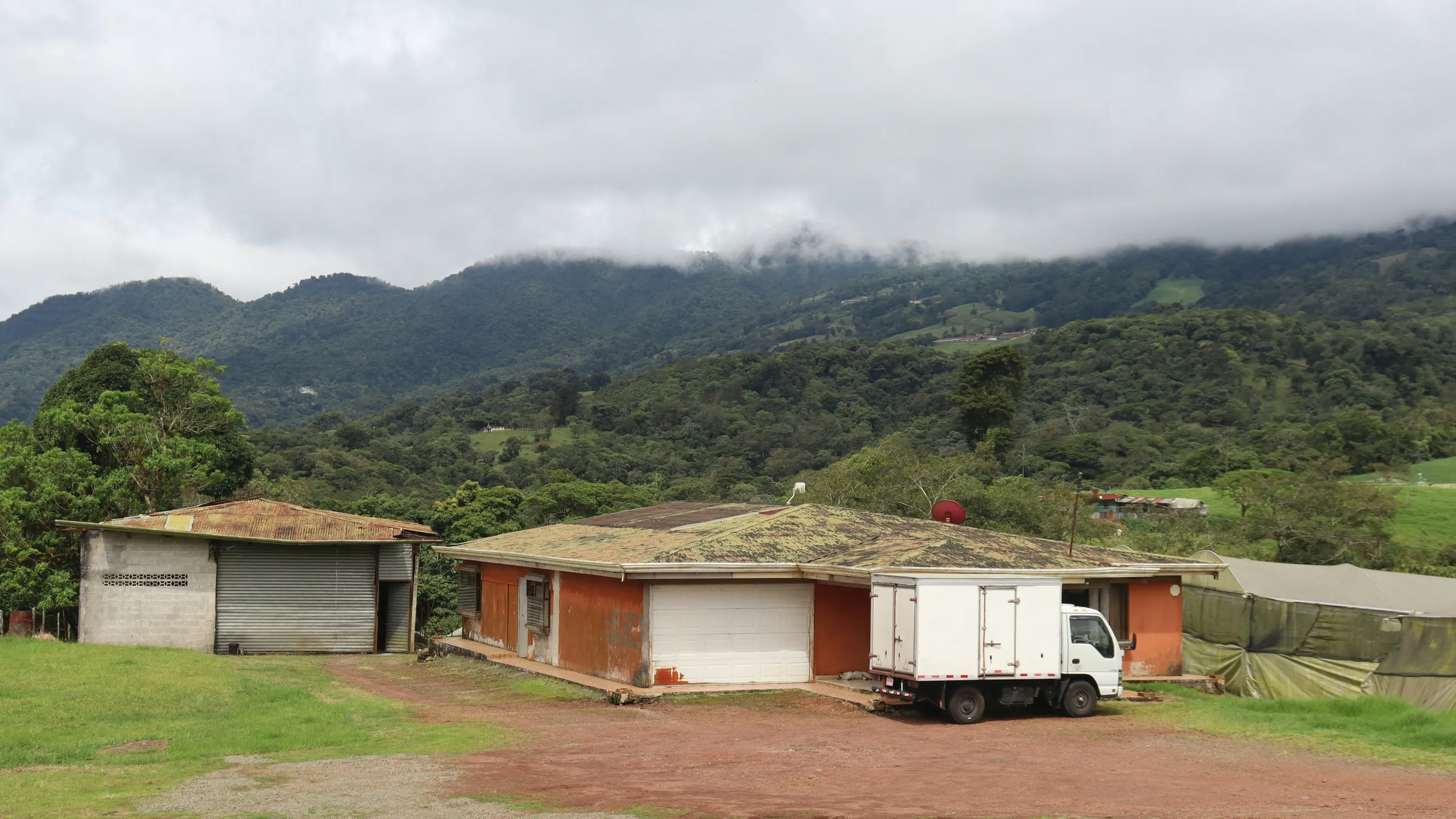 New Balance Heredia Run