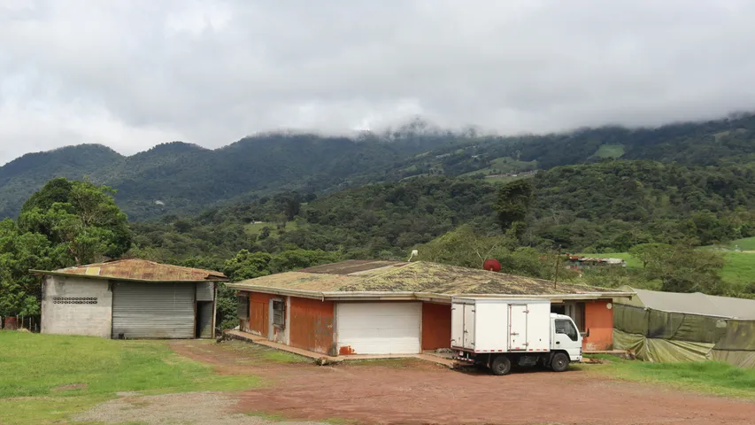 New Balance Heredia Run