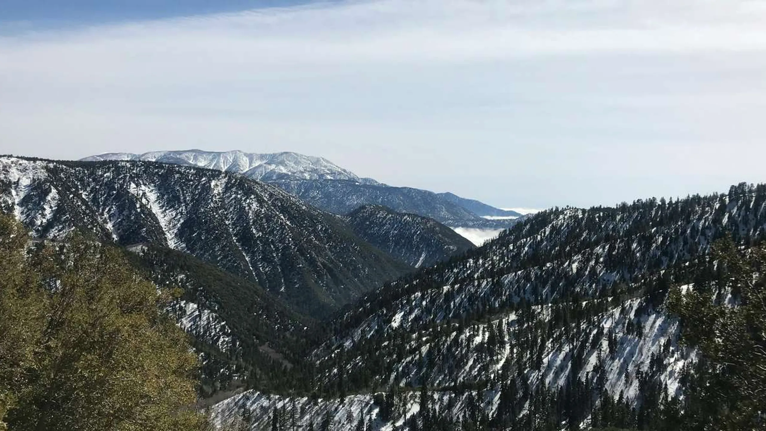 Big Bear