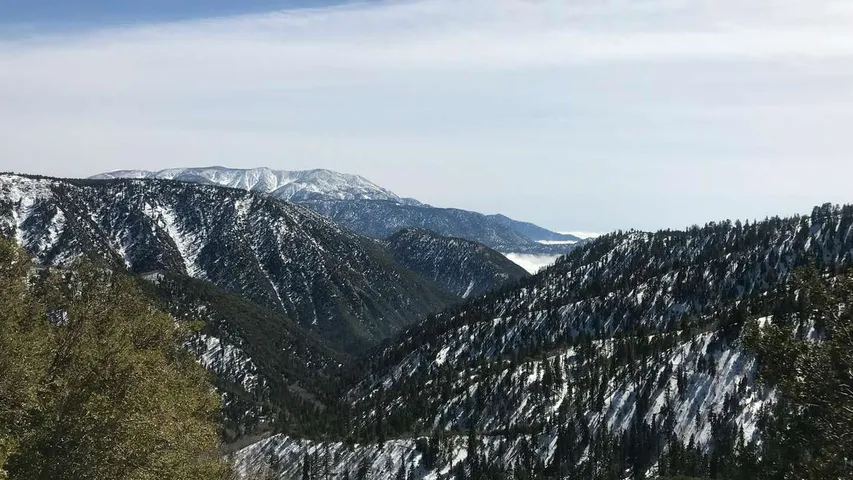 Big Bear