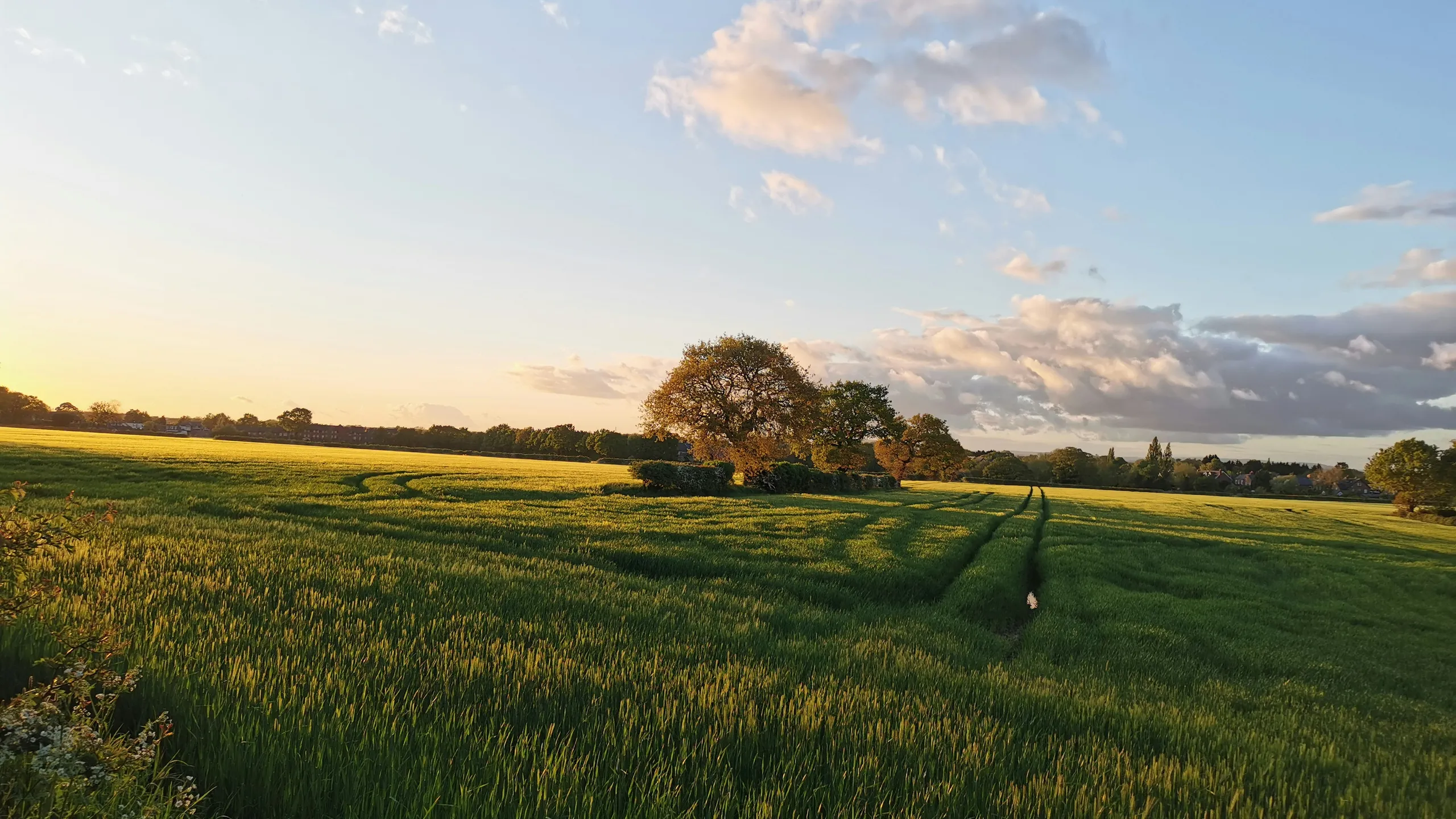 Warrington Way 40 Mile Trail Ultramarathon