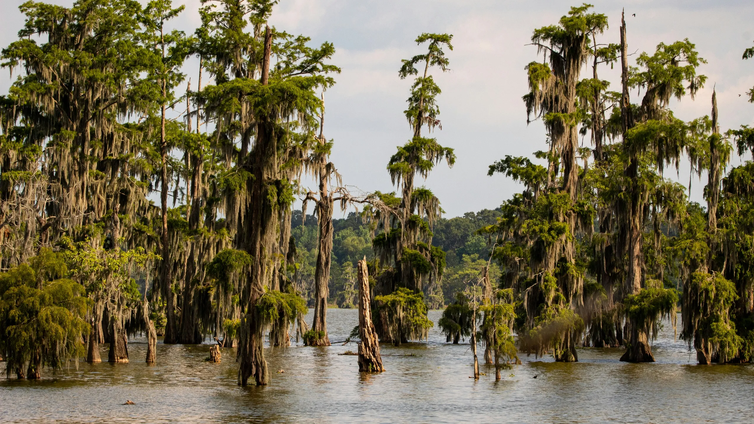 Dance Away 5K & 1 Mile Fun Run